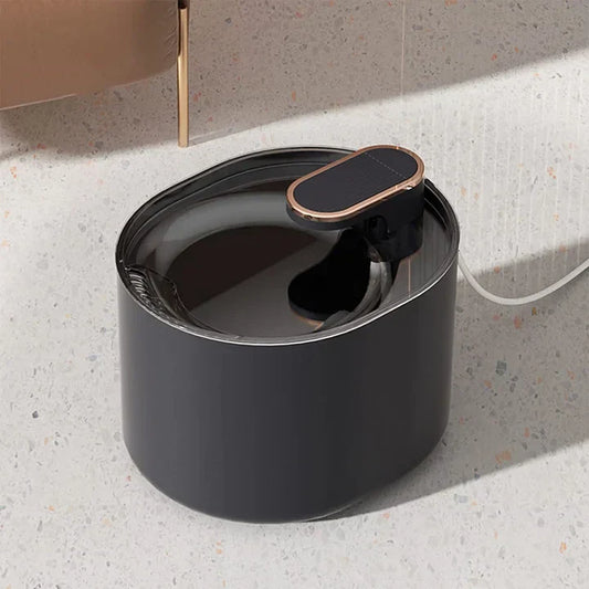 Water Fountain For Cat