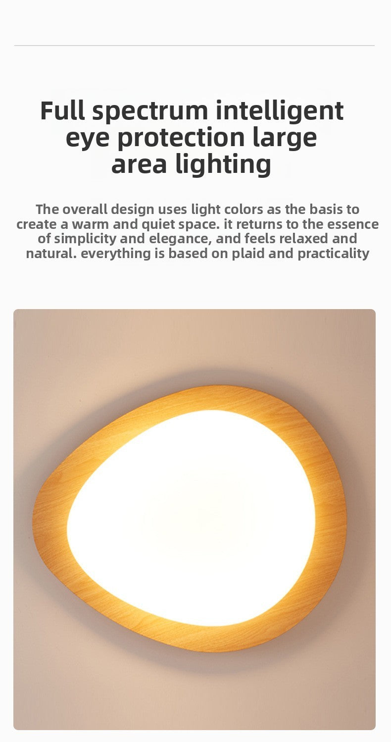 Quiet Ceiling Lamp
