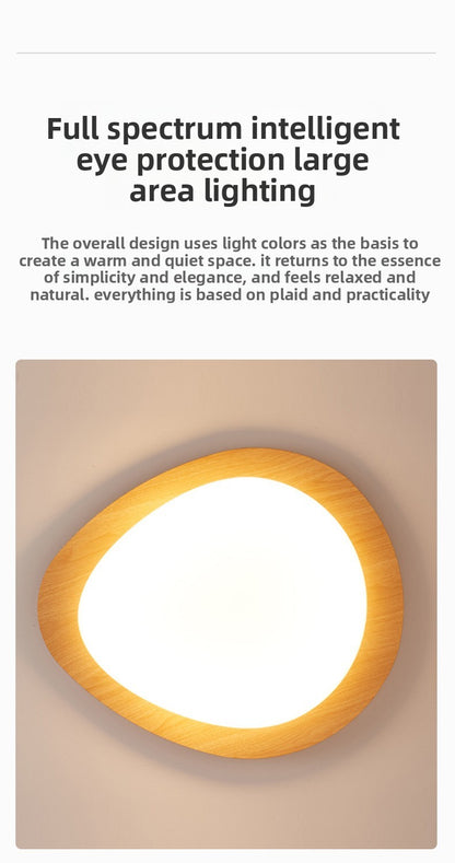 Quiet Ceiling Lamp