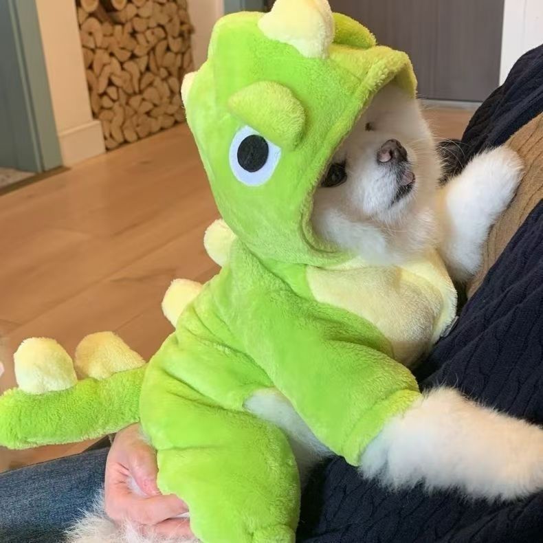 Cat Dinosaur Costume
