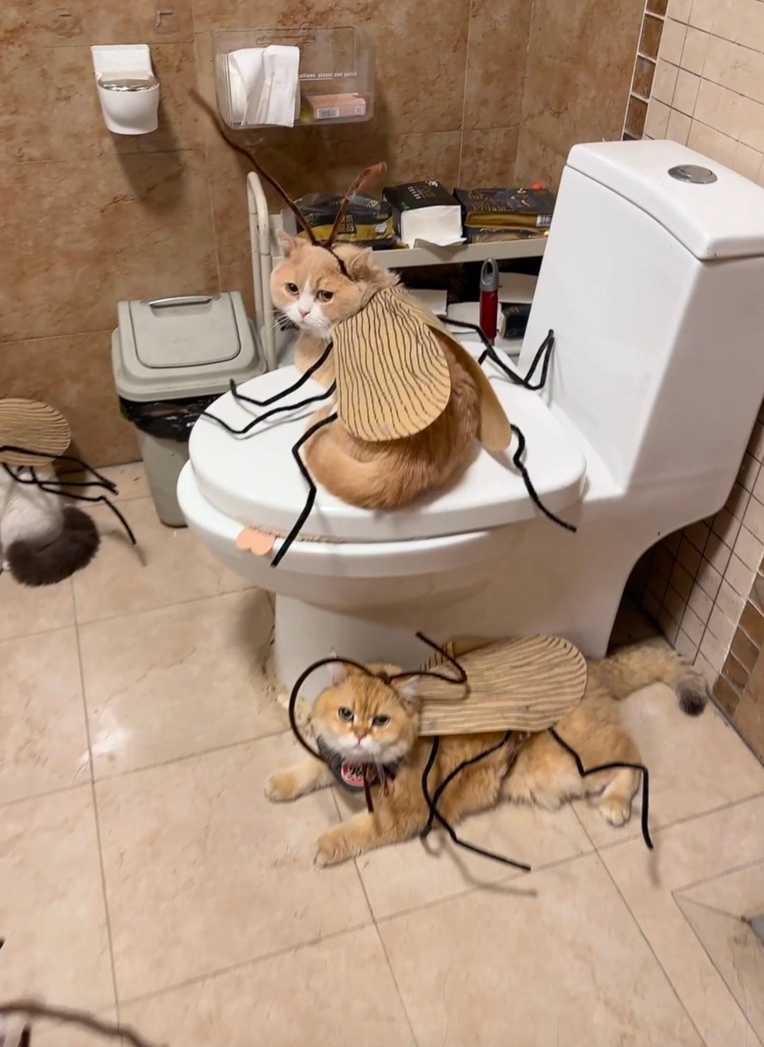 Funny Pet Catroach Costume Outfit