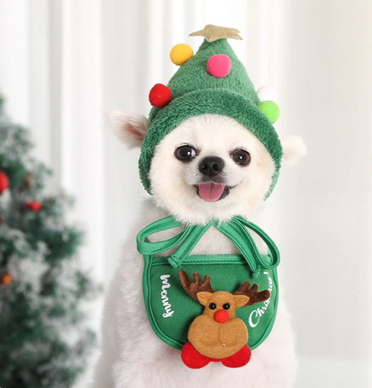 Pet Christmas Hat