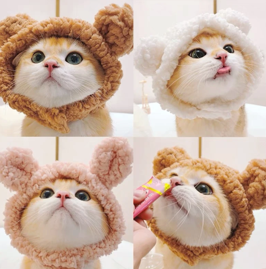 Plush Bear Pet Hood