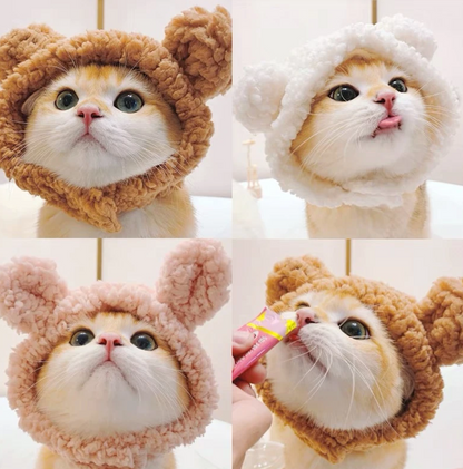 Plush Bear Pet Hood