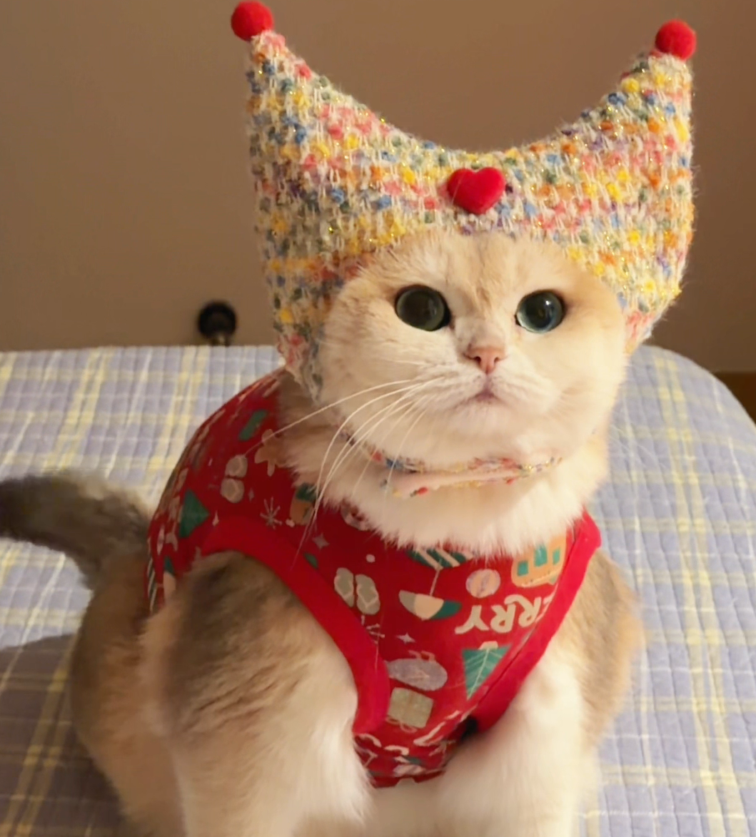 Colorful Knit Cat Crown – Christmas Party Hat for Cats