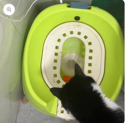 Luxury Automatic Flushing Cat Toilet