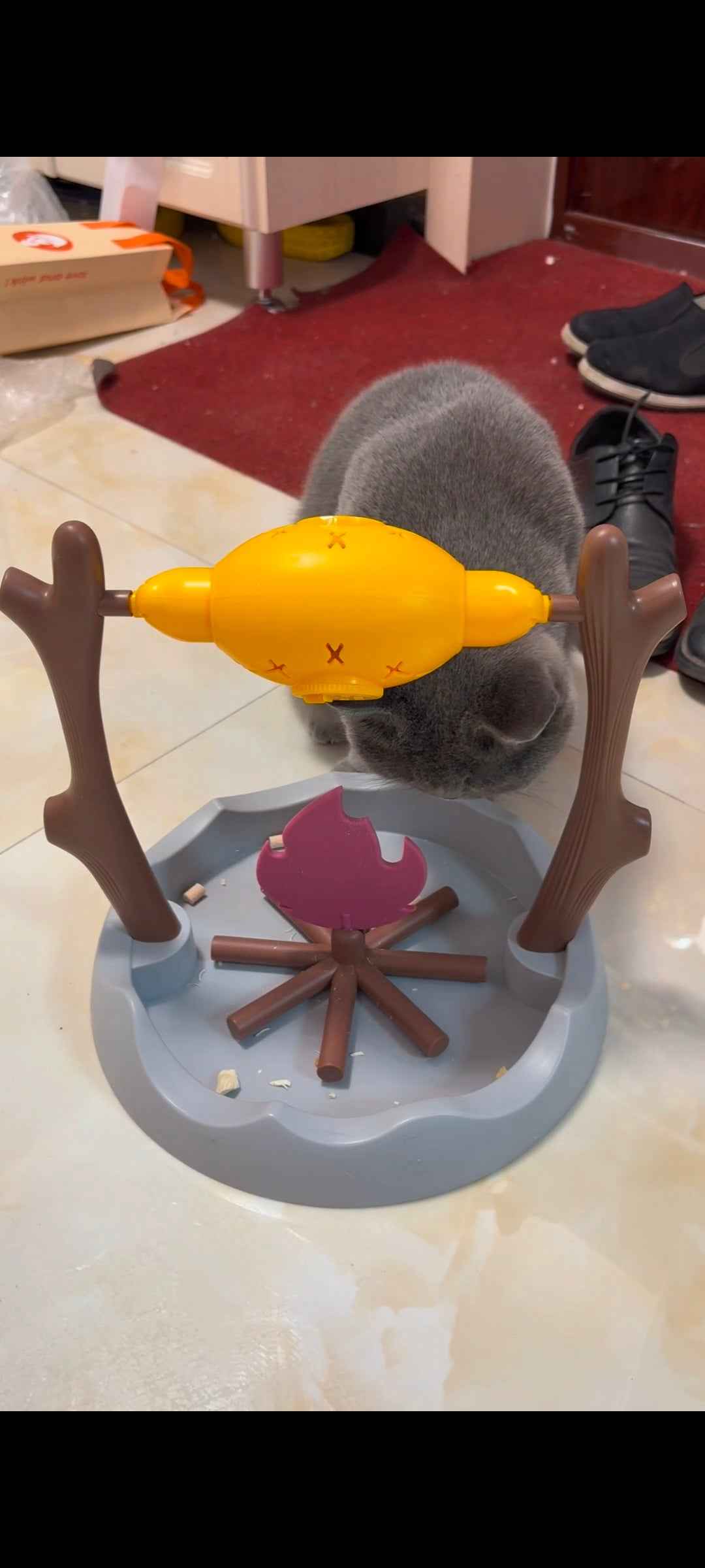 Cat Interactive Snack Dispenser Slow Food