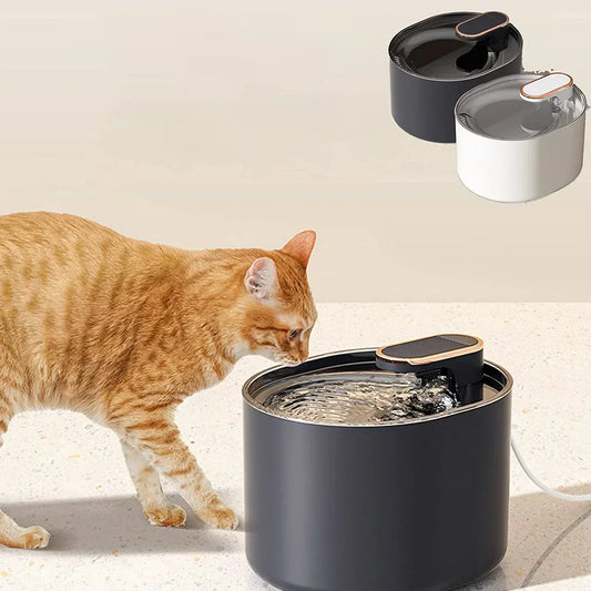 Water Fountain For Cat