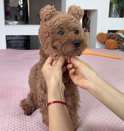 Plush Bear Pet Hood