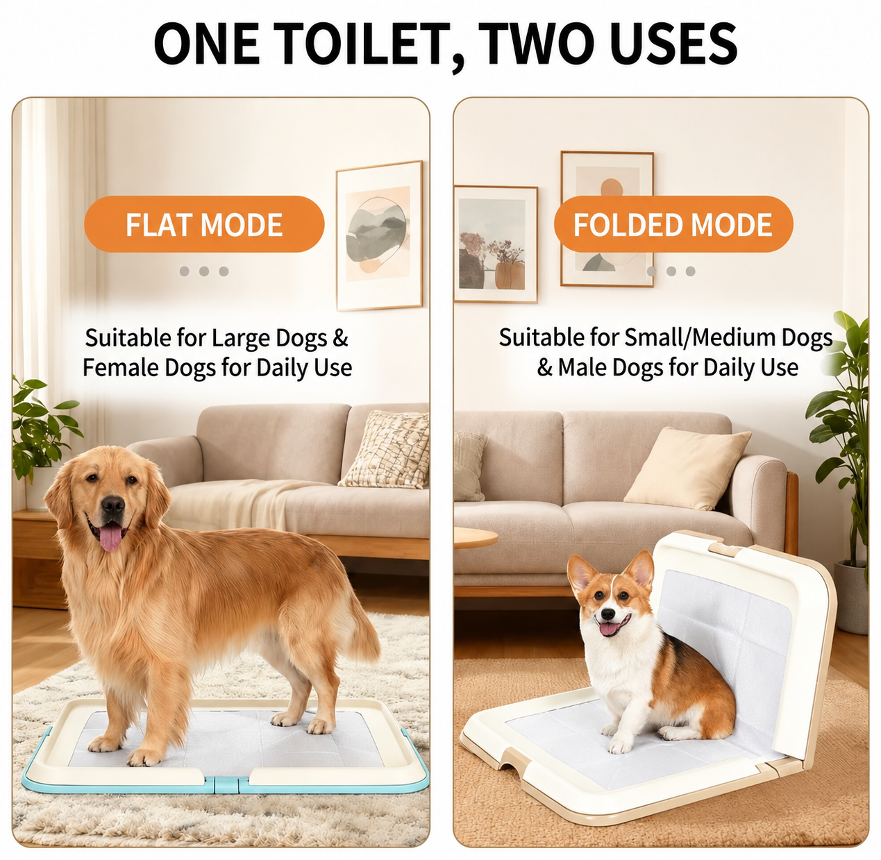Dog Toilet