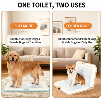 Dog Toilet