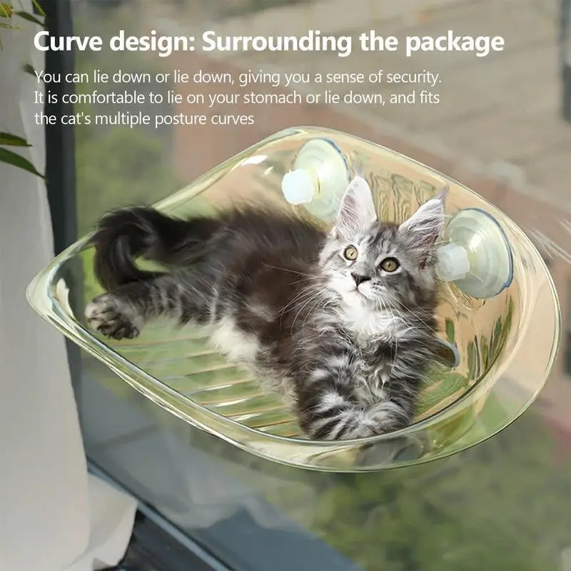 Cat Hammock