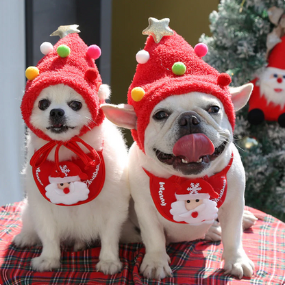 Pet Christmas Hat