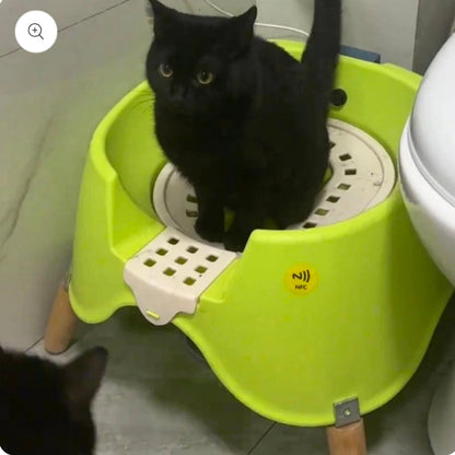 Luxury Automatic Flushing Cat Toilet